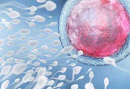 21岁卵巢早衰能活多久&供卵推广徽下拉5,孕期