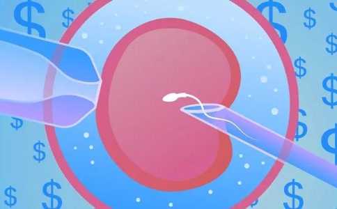 重庆供精供卵试管,北京三代试管供卵捐卵试管机构-试管婴儿受精过程是怎样的