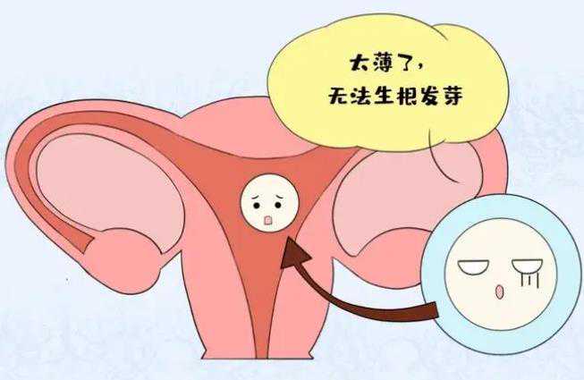 26岁卵巢早衰怎么治疗&哪里能做供卵试管,孕期如何补充叶酸